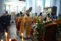 IVO_1462.JPG